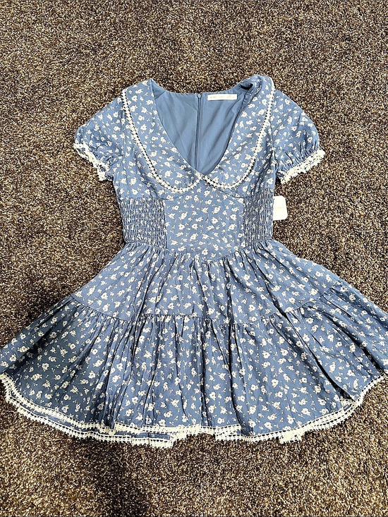 Altar'd State Dresses & Skirts - Altar’d State Floral Mini Dress in Blue & White Size Medium NWT